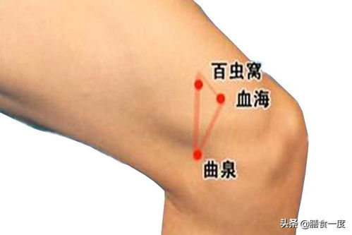 董卿为何不主持春晚了 董卿为何不主持春晚了