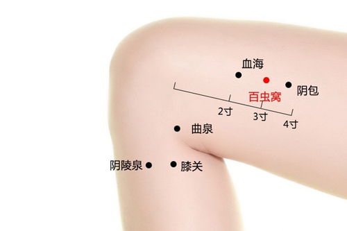 治痤疮的方法 治痤疮的方法