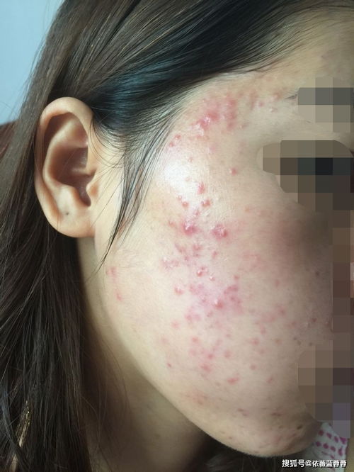 �������ţƤѢ�ļ�