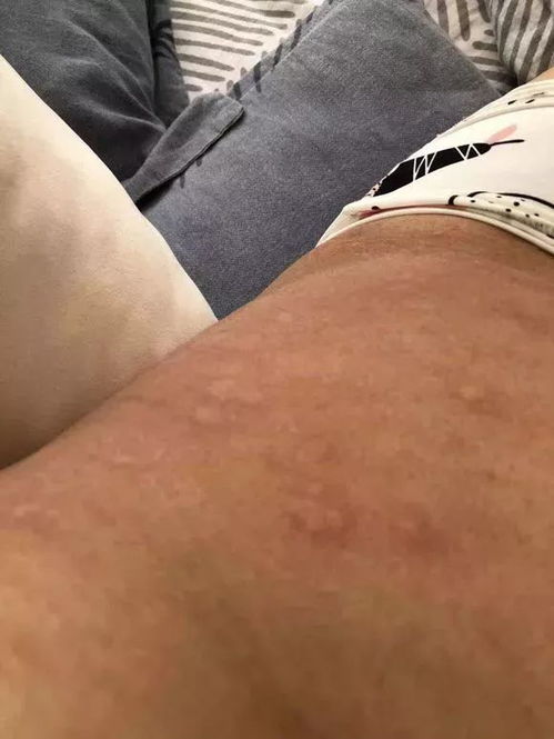 五香牙签肉 牙签肉什么做 五香牙签肉 牙签肉什么做