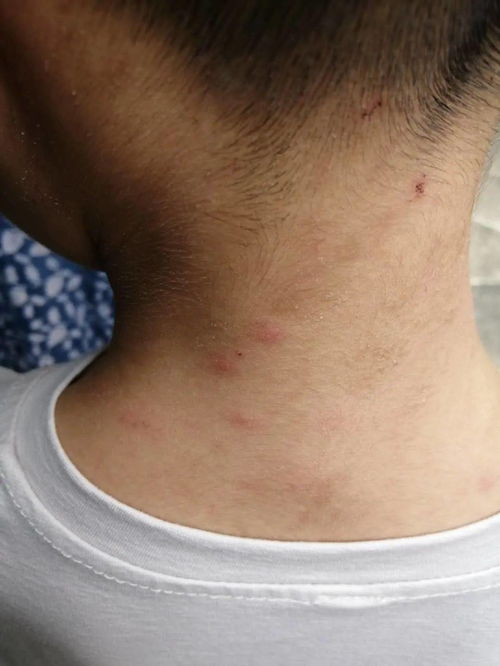 ţƤѢ����Щ�����ص�