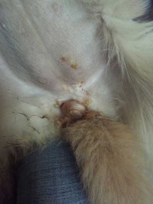 西医如何治疗灰指甲 预防复发有5招 西医如何治疗灰指甲 预防复发有5招